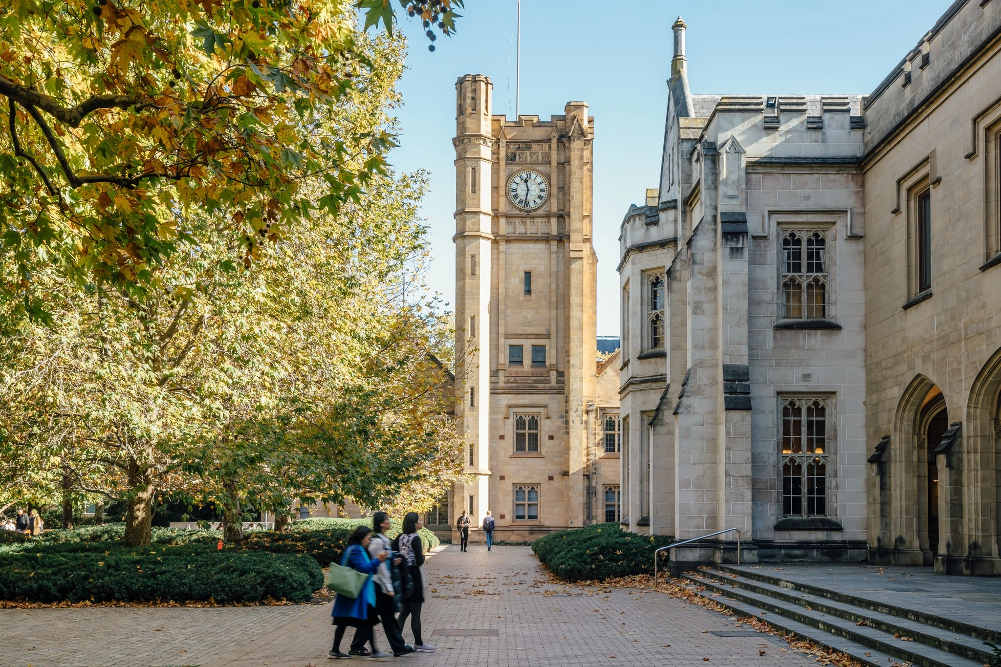 Avstraliyaning №1 universiteti – University of Melbourne bilan tanishing: 25–50% stipendiya