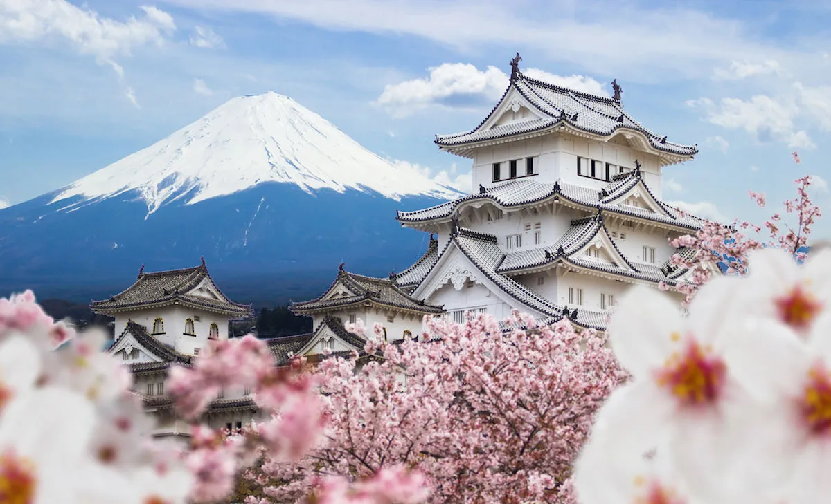 Study in Japan
