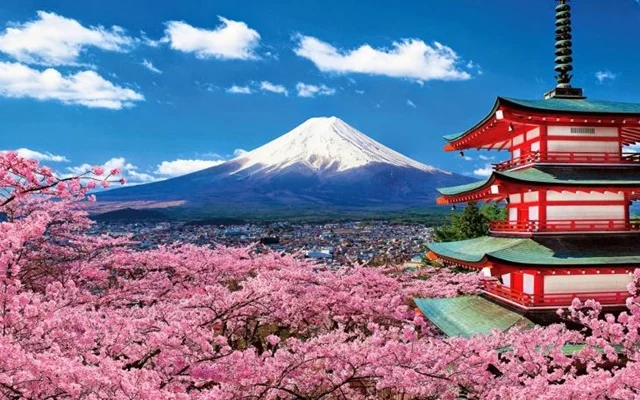 YAPONIYADAGI KOLLEJLAR